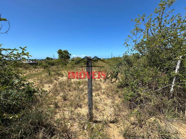 Área para Venda em Conde - 4